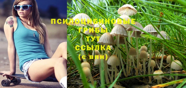 гашик Бородино