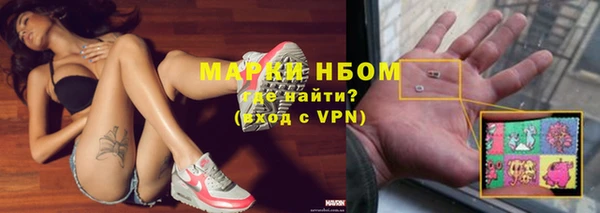 гашик Бородино