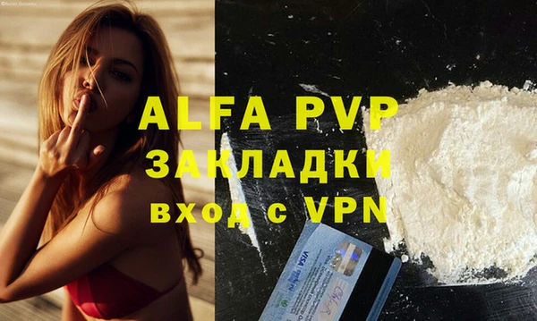 гашик Бородино