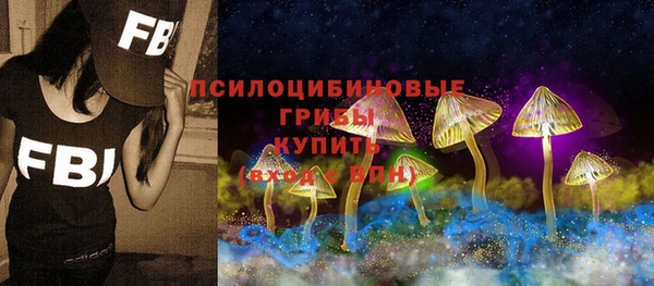 прущий лед Бронницы