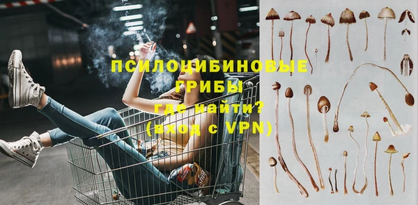 гашик Бородино