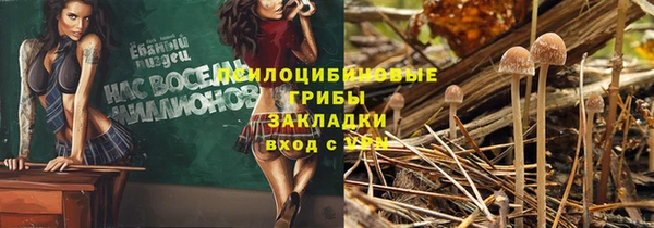 гашик Бородино