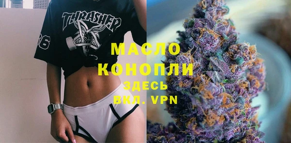гашик Бородино