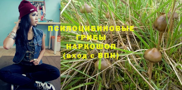 гашик Бородино