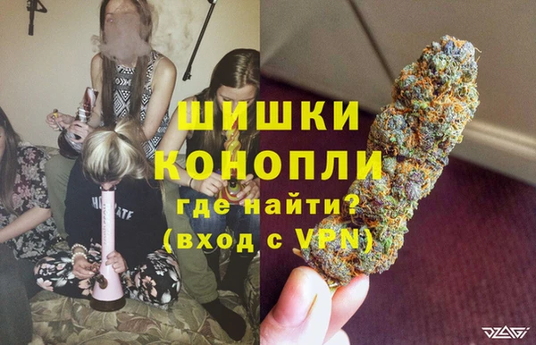 гашик Бородино